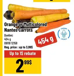 Mayrand Orange or Multicolored Nantes Carrots offer