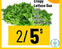 Mayrand Lettuce Duo Crispy offer