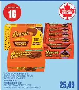 Wholesale Club GROS MOULE, 16 UN offer