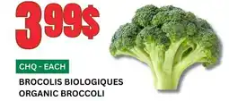 Marches Tau BROCOLIS BIOLOGIQUES offer
