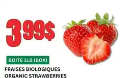 Marches Tau FRAISES BIOLOGIQUES offer