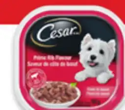 Walmart Cesar wet dog food offer