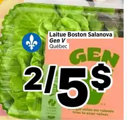 Val-Mont Laitue Boston Salanova Gen V offer