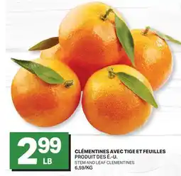 L'Intermarché CLÉMENTINES AVEC TIGE ET FEUILLES | STEM AND LEAF CLEMENTINES offer