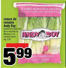 Super C coeurs de romaine Andy Boy offer
