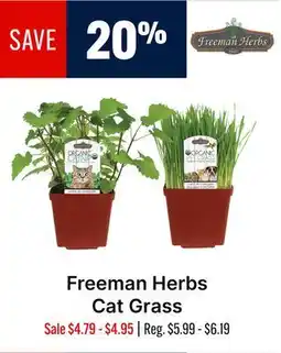 Ren’s Pets Depot Freeman Herbs Cat Grass offer