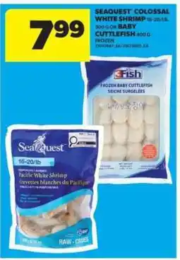 Real Canadian Superstore Seaquest Colossal White Shrimp or Baby Cuttlefish offer