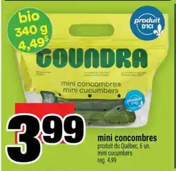 Super C mini concombres offer