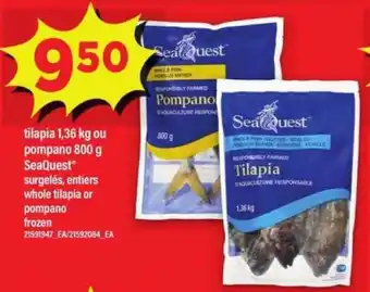 Maxi SeaQuest Tilapia or Pompano offer