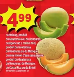Maxi CANTALOUP offer