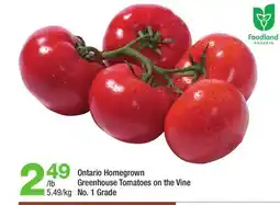 Highland Farms Ontario Homegrown Greenhouse Tomatoes on the Vine offer