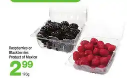 Highland Farms Raspberries or Blackberries offer