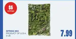 Wholesale Club SPRING MIX, 3 LB offer