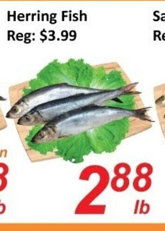 Fresh Win Foodmart Herring Fish offer