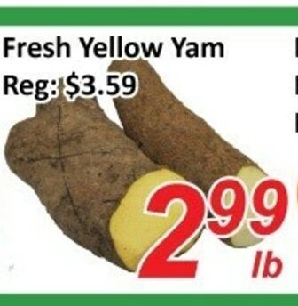 Fresh Yellow Yam