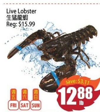 Field Fresh Supermarket Live Lobster offer