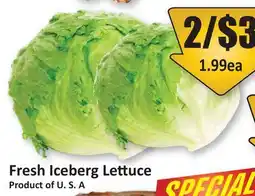 Starsky Fresh Iceberg Lettuce offer