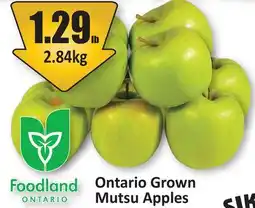 Starsky Ontario Grown Mutsu Apples offer