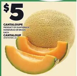 Independent City Market CANTALOUPE offer