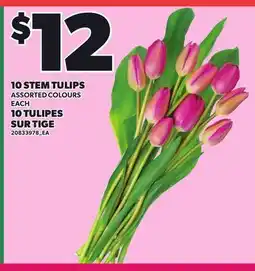 Independent City Market 10 STEM TULIPS, EACH offer