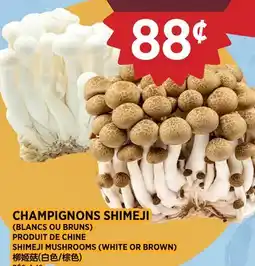 Kim Phat SHIMEJI MUSHROOMS (WHITE OR BROWN) offer