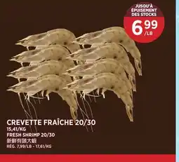 Kim Phat FRESH SHRIMP 20/30 offer