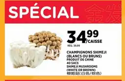 Kim Phat SHIMEJI MUSHROOMS offer