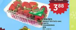 Kim Phat STRAWBERRIES offer