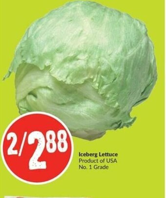 FreshCo Iceberg Lettuce offer