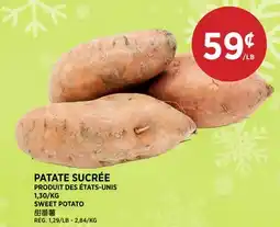 Kim Phat SWEET POTATO offer