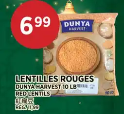 Kim Phat DUNYA HARVEST RED LENTILS offer
