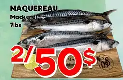 Marche Salaberry MAQUEREAU offer