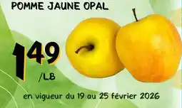 Marche Salaberry POMME JAUNE OPAL offer