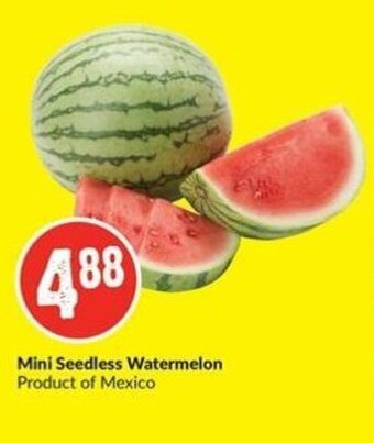 FreshCo Mini Seedless Watermelon offer