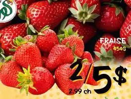 Marche Salaberry FRAISE offer