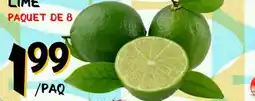 Marche Salaberry LIME offer
