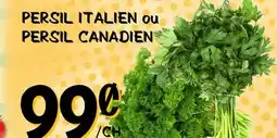 Marche Salaberry PERSIL ITALIEN ou PERSIL CANADIEN offer