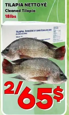 Marche Salaberry TILAPIA NETTOYÉ offer