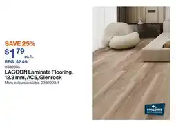 Patrick Morin LAGOON Laminate Flooring, 12.3 mm, AC5, Glenrock offer