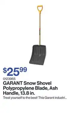 Patrick Morin Snow Shovel Polypropylene Blade, Ash Handle, 13.8 in offer