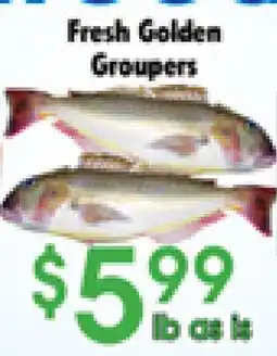 Danforth Food Market Fresh Golden Groupers offer