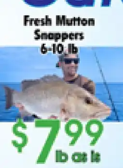 Danforth Food Market Fresh Mutton Snappers offer