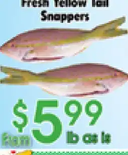 Danforth Food Market Fresh Yellow tail Snappers offer