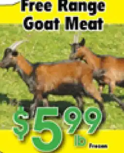 Danforth Food Market Free Range Goat Meat offer