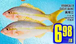 Marché Lian Tai VIVANEAU À QUEUE JAUNE offer