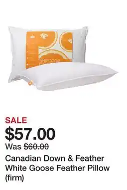 TSC Stores Canadian Down & Feather White Goose Feather Pillow (firm) offer