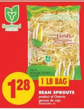 No Frills Bean Sprouts offer