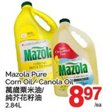 T&T Supermarket MAZOLA PURE CORN OIL/ CANOLA OIL offer