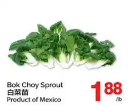 T&T Supermarket BOK CHOY SPROUT offer