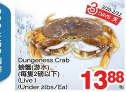 T&T Supermarket DUNGENESS CRAB offer